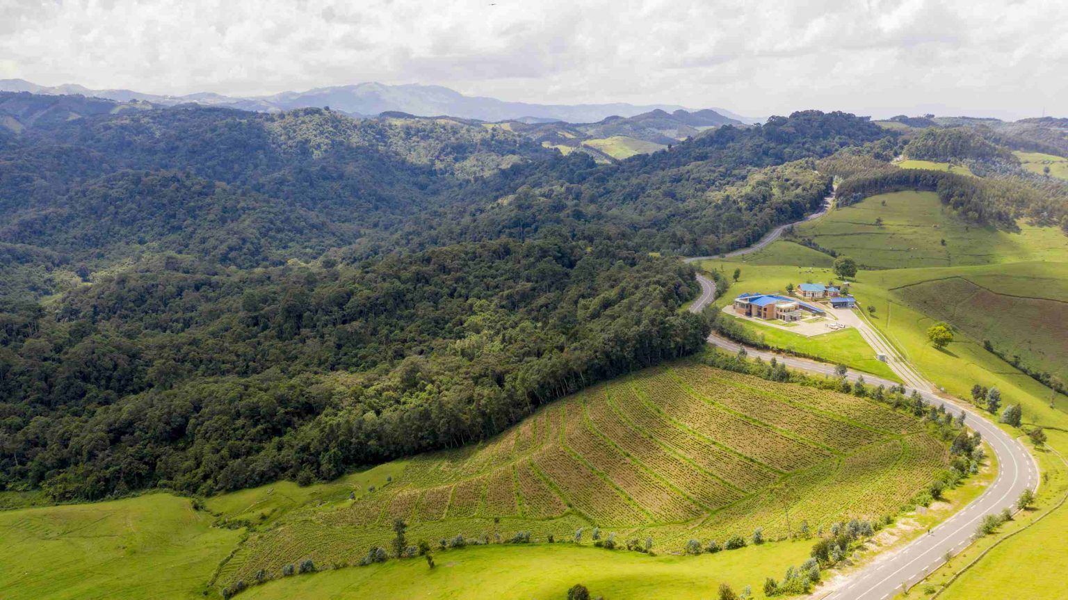 Gishwati Forest Lodge